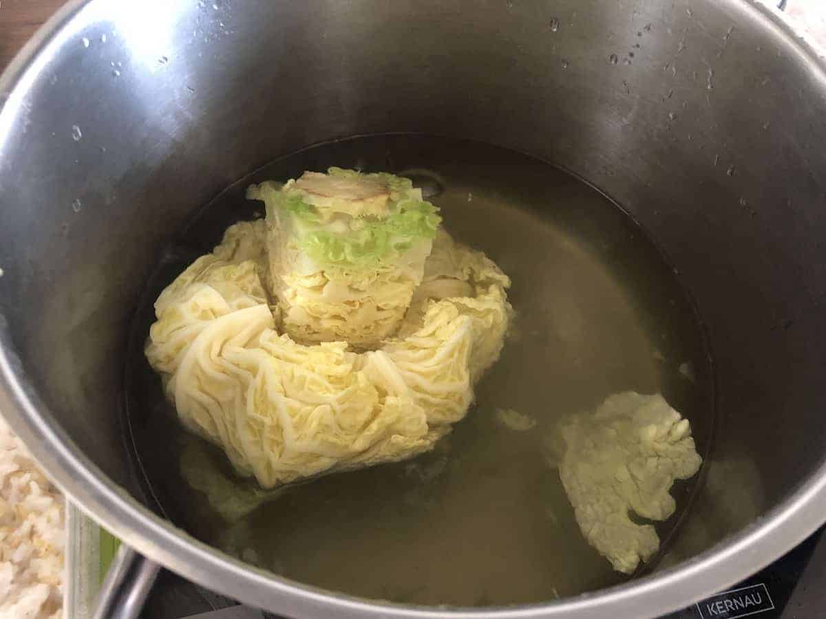 boiling cabbage in a steel pot.