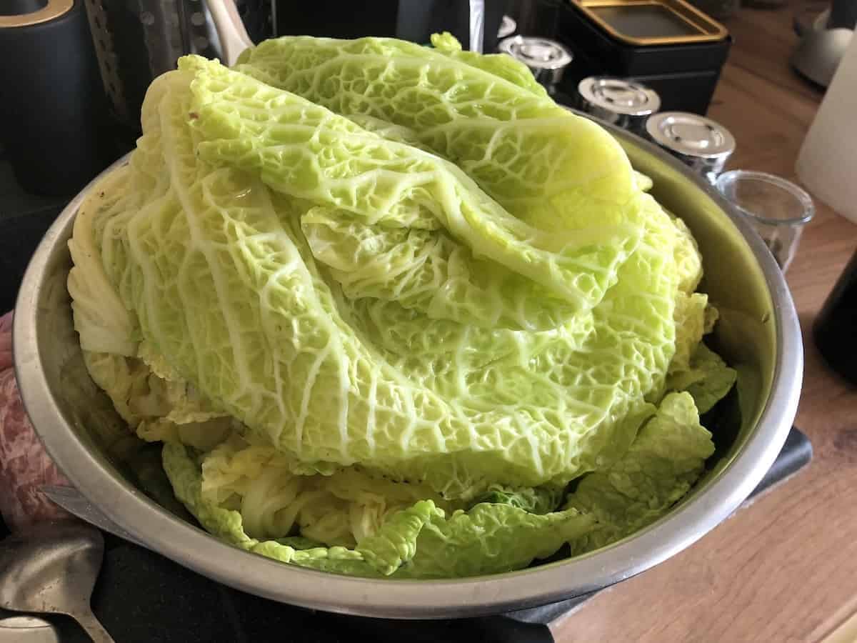 boiled cabbage leaves.