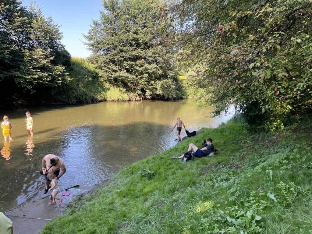 Several people and two dogs relax by a river; some are wading in the water while others sit on the grassy bank under trees, enjoying a sunny day reminiscent of gatherings at the best festivals in Poland.