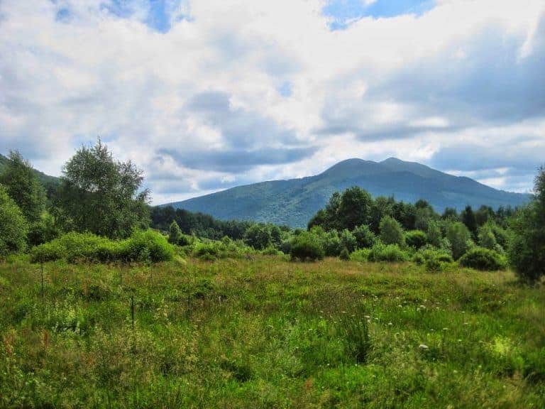 Grassy meadow with scattered shrubs and trees in the foreground, green hills and a mountain in the background under a partly cloudy sky—an idyllic scene from Poland’s Bieszczady Mountains, perfect for any Insider's Guide to natural beauty.
