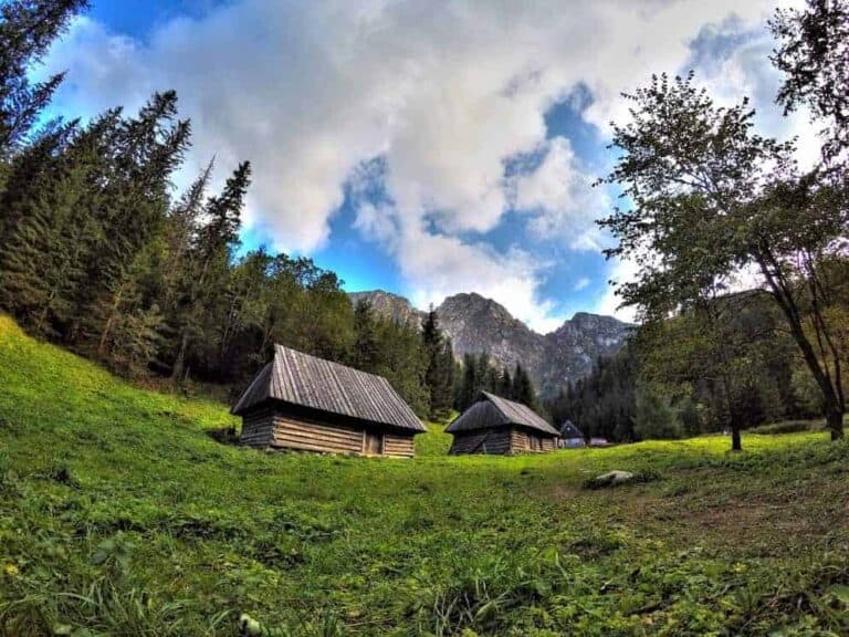 Two wooden cabins with slanted roofs sit on a grassy clearing surrounded by trees and mountains under a partly cloudy sky, capturing the serene charm of Zakopane, Poland.