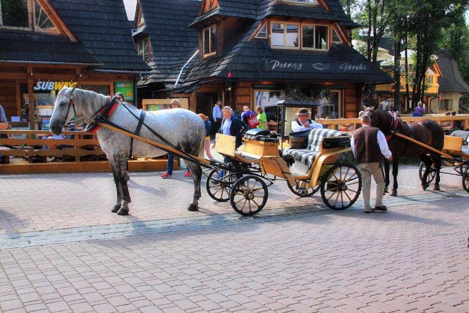 Two horse-drawn carriages with drivers and passengers are parked on a cobblestone street in Zakopane, Poland, in front of wooden buildings—a charming scene and one of the classic things to do while visiting this mountain town. People are walking nearby.