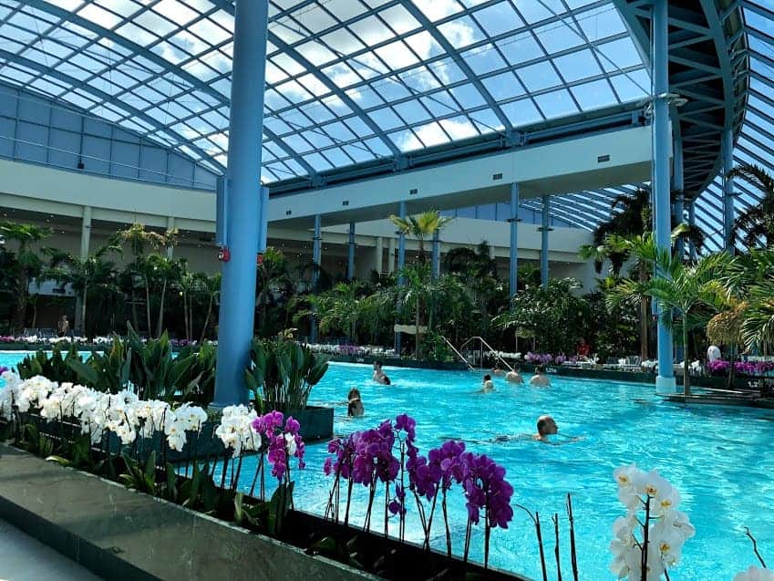 People swim in a large indoor pool at one of the best spa resorts in Poland, surrounded by palm trees and purple and white flowers under a glass ceiling with natural light.