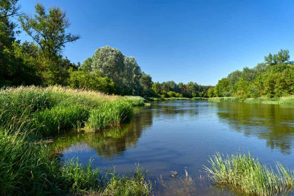A calm river flows through green grassy banks and trees under a clear blue sky on a sunny day, capturing the serene beauty often found in Poland national parks.